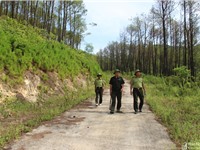 Nghệ An tăng cường c&#244;ng t&#225;c quản l&#253; bảo vệ rừng