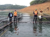 Ph&#243; Chủ tịch UBND tỉnh kiểm tra sản xuất n&#244;ng l&#226;m, thủy sản tại huyện Quế Phong