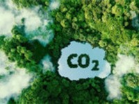 C&#242;n dư 5,9 triệu tấn carbon, Bộ N&#244;ng nghiệp muốn th&#237; điểm b&#225;n đấu gi&#225;