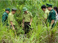 Dấu hiệu khởi sắc trong c&#244;ng t&#225;c bảo tồn đa dạng sinh học tại Khu BTTN P&#249; Hoạt