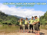 Kỷ niệm Ng&#224;y L&#226;m nghiệp Việt Nan 28/11 v&#224; 79 năm th&#224;nh lập Ng&#224;nh L&#226;m nghiệp Việt Nam (01/12/1945 - 01/12/2024)