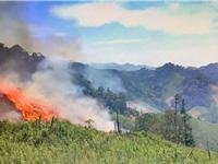 Ban quản l&#253; Khu BTTN P&#249; Hoạt phối hợp c&#225;c lực lượng chức năng v&#224; Ch&#237;nh quyền địa phương tổ chức canh lửa v&#249;ng bi&#234;n