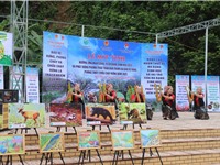 Lan tỏa th&#244;ng điệp bảo vệ thi&#234;n nhi&#234;n