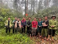 T&#226;m sự nghẹn đắng của c&#225;n bộ kiểm l&#226;m giữa rừng gi&#224; v&#249;ng bi&#234;n giới